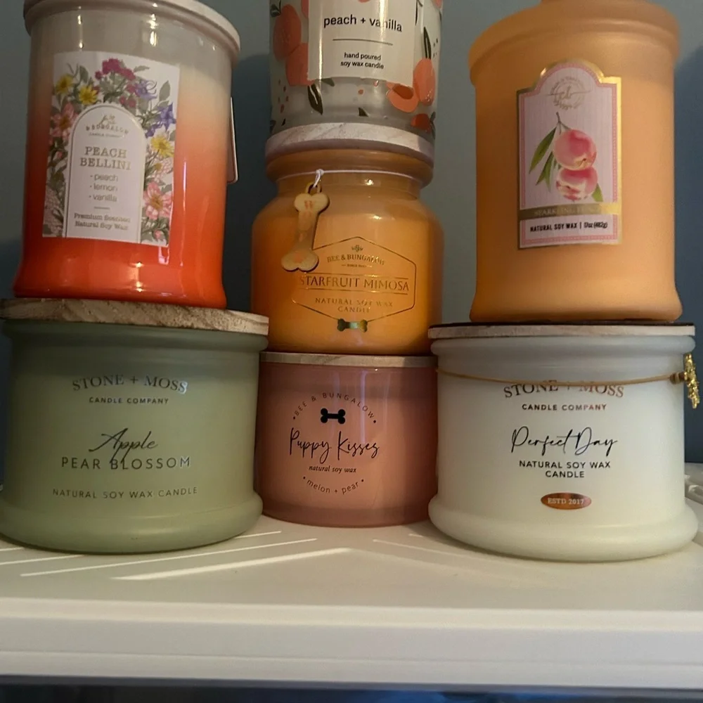 CANDLES CANDLES CANDLES!!!Stone&Moss Bee&Bungalow & Others. 12-22oz each CHEAP!! - Picture 1 of 1